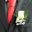 A close-up photograph shows a groom's chest and shoulders dressed in formal attire, with the camera lingering tenderly on a single white rose boutonniere pinned to the left lapel of a charcoal grey suit. The suit fabric has a refined, slightly textured wool finish, the edges of the lapel crisply stitched, and a neat welt pocket just visible beneath. Under the jacket, a pale dress shirt with a fine, check-like pattern adds a soft layer of detail, while a bold, solid red tie in a smooth satin or silk catches the light at the centre of the frame, giving the whole image a celebratory glow. The boutonniere itself is crafted with the care of an experienced florist: a single creamy white rosebud, petals tightly furled and perfectly formed, is surrounded by airy sprays of white baby's breath that create a cloud of tiny blossoms around the rose. Fine, feathery green foliage and a few broader deep-green leaves fan out gently, cradling the flowers with natural movement. At the base, a slim white satin ribbon is tied into a tiny, precise bow, holding the stems snugly against the lapel. The lighting is soft, suggesting an indoor venue in South Croydon just before a wedding ceremony, perhaps near Lloyd Park or along Brighton Road, where guests are gathering. There is a feeling of calm anticipation and quiet pride in this simple yet sophisticated floral detail, perfectly suited to a groom or honoured guest on a day when every small element carries deep meaning and emotion.